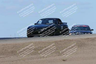 media/Oct-04-2025-OnGrid (Sat) [[44bd565ffa]]/Pink Group/Grapevine/